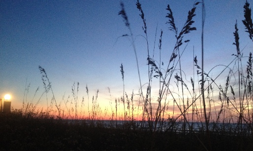 Thanksgiving on Our Brunswick Beaches